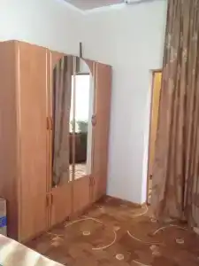 Георгина - 0