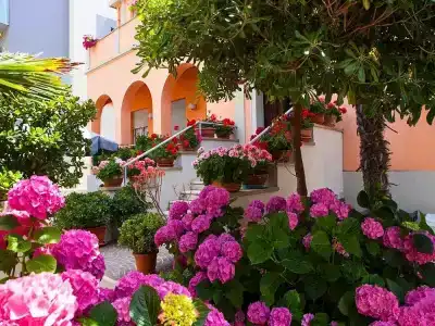 Amadei Blumen - 18