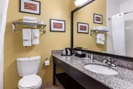 Comfort Inn & Suites - 33