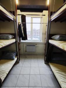 Магония - 100