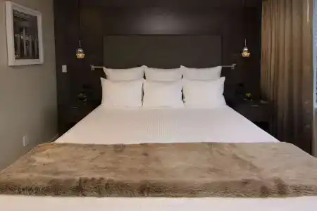 The Benson Portland, Curio Collection by Hilton - 3