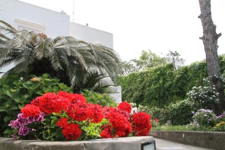 b&b Il Sogno - 16