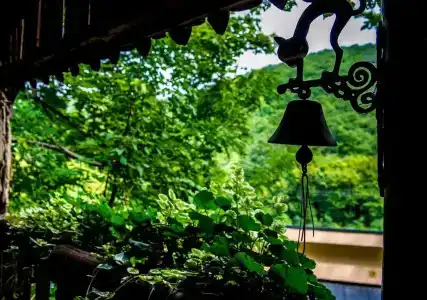 Patak Park - Adults Only - 5