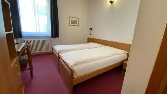 Alberello - 18