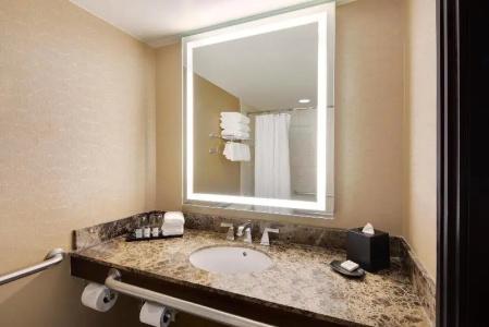 Sheraton Orlando North - 68