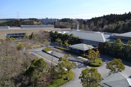 Okura Akademia Park - 55