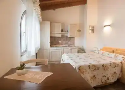Rosa di Assisi - 101