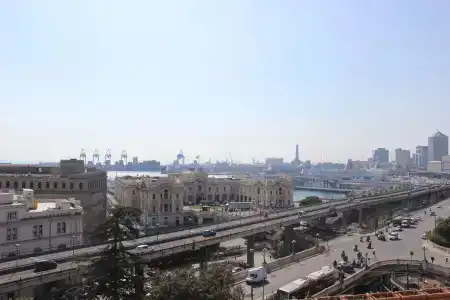 New Alexander - 15