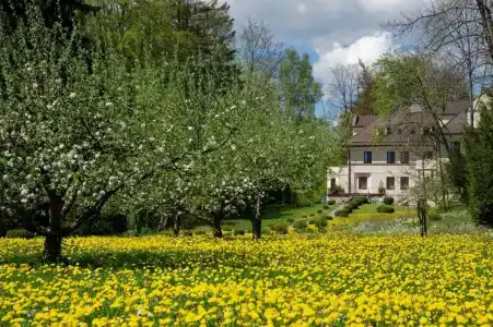 Villa Toscana - 6