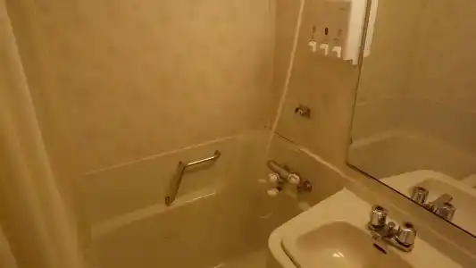 Bandai Silver - 7