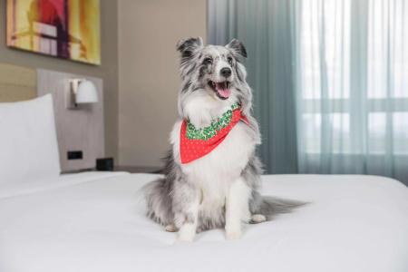 Doubletree By Hilton New York Times Square West - 3