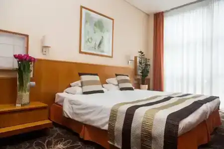 Lycium Debrecen - 37