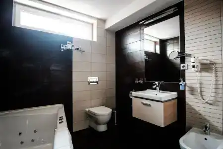 Deluxe with free Wellness and Fitness Centrum - 8