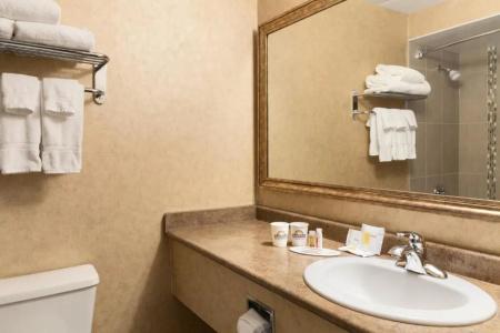 Days Inn by Wyndham Conference Centre - 29
