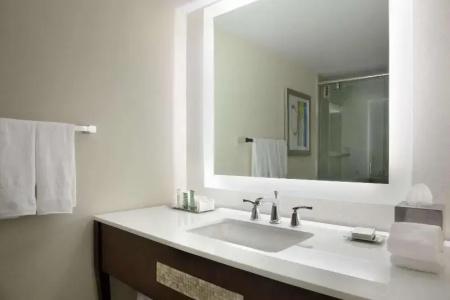 Hilton Miami Airport Blue Lagoon - 47