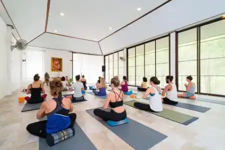Wonderland Healing Center - 29