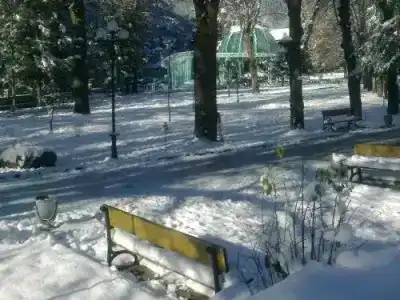 Borjomi Park Guest House - 14