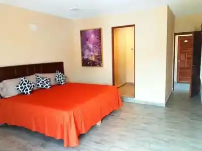 Camino de Piedra - 23