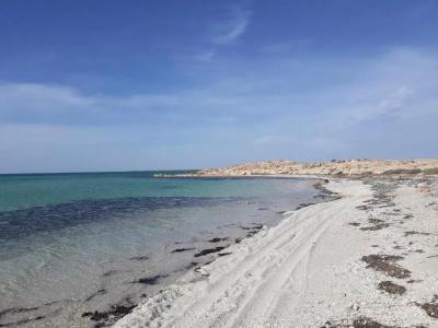 Dar Chick Yahia Ile De Djerba - 18