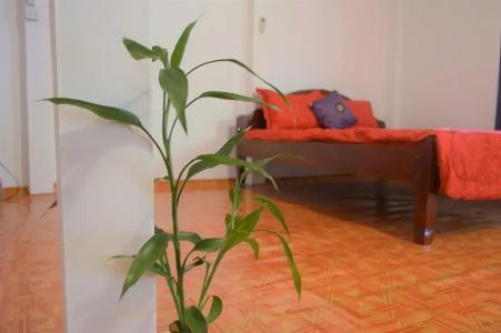 Sok Phen Homestay - 10