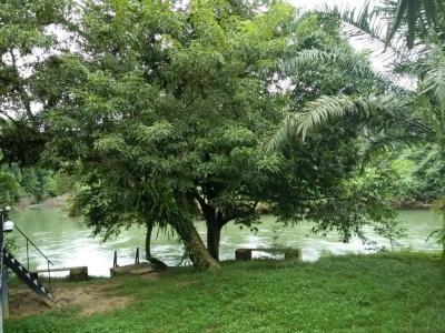 Khaosok River Camp - 46