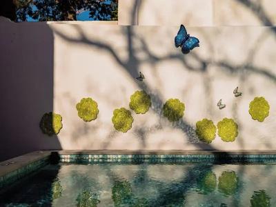 Jardim da Lapa by Shiadu - 38