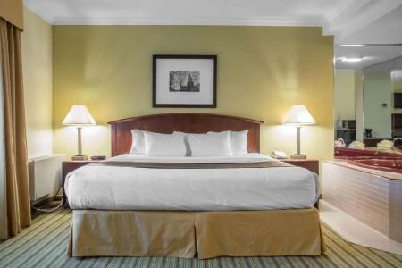Quality Inn - 50