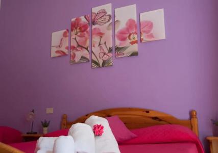 Il Cortile - 72