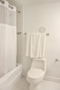 Seacoast Suites on Miami Beach - 348