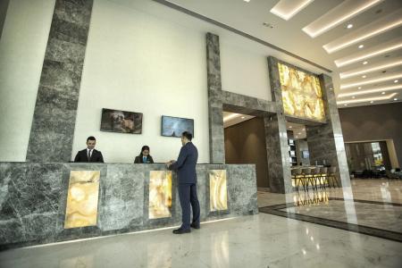 Dedeman Tokat - 31