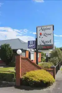 Alpine Rose - 0