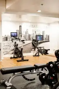 Ambassador Chicago, part of JdV by Hyatt - 32