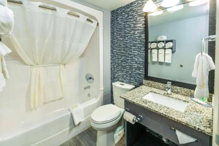 Quality Inn - 8