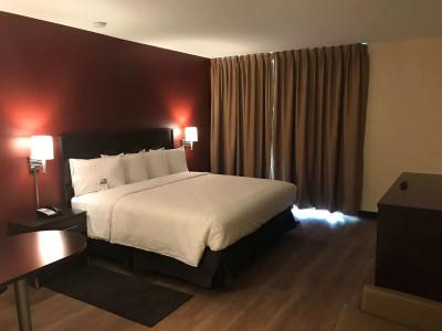 Red Roof Inn Plus+ & Suites Houston – Iah Airport Sw - 6