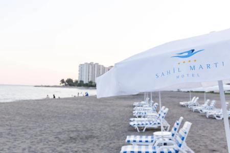 Sahil Martı - 22