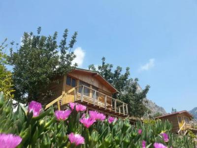 Olive Garden Kabak - 20