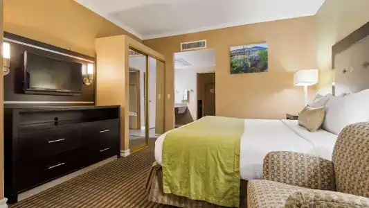 Best Western Royal Sun Inn & Suites - 98