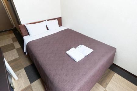 Select Inn Fujisan Gotemba - 34