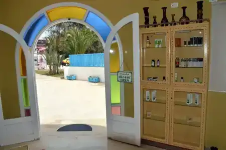Djerba Haroun - 0