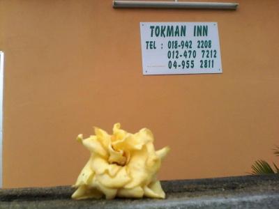 Tokman Inn - 27