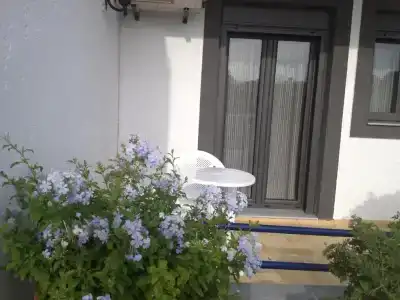 Villa Marina - 44