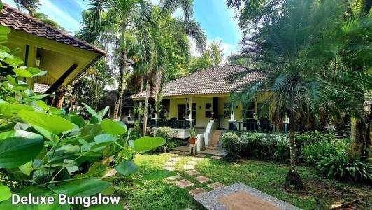Baan Khaolak Beach Resort - Sha Plus - 266