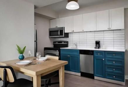 Sonesta ES Suites Chicago Downtown Magnificent Mile - 43