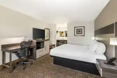 Best Western Central Inn - 48