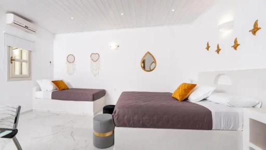 Petri Suites - 140