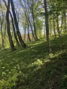 Весна - 6