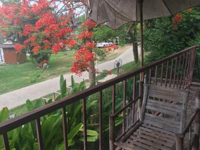 The Like View - 9