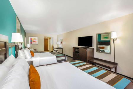 Wingate by Wyndham - St. George - 3