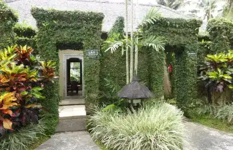 Villa Semana & Spa - 49