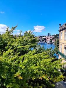 Memoria Porto Flhs - 140